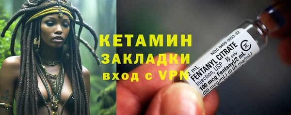 прущие грибы Карталы