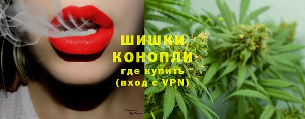 прущие грибы Карталы