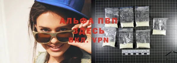 прущие грибы Карталы