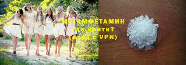 прущие грибы Карталы
