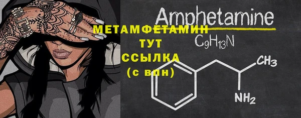 прущие грибы Карталы