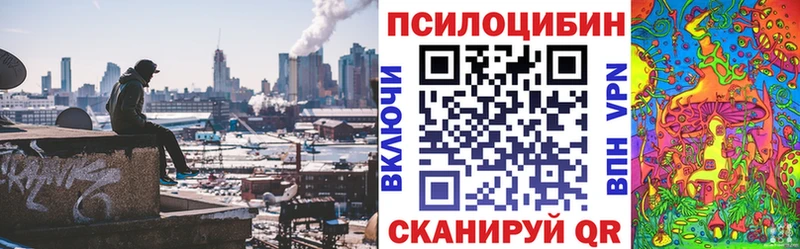 Купить  Багратионовск  Псилоцибиновые грибы прущие грибы 