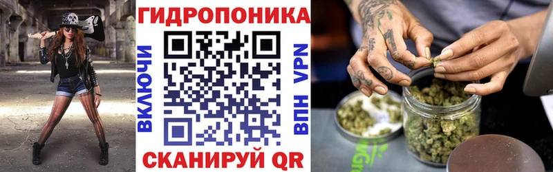 Конопля конопля  Купить где  Багратионовск 